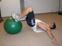 Stability Ball Bridge Curl