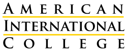 american-logo